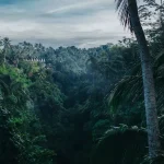 Solo Surakarta Travel Guide: Immerse in Javanese Culture