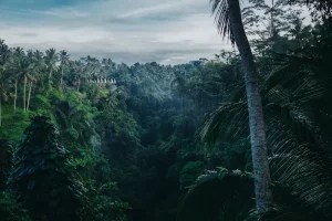 Solo Surakarta Travel Guide: Immerse in Javanese Culture