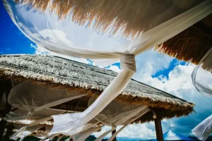 Sulawesi Food Guide: Must-Try Dishes and Culinary Experiences