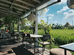 The Best Seafood Restaurants in Labuan Bajo for Fresh Catches