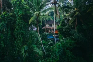 Your Perfect Bandung Weekend Getaway: Itinerary &amp; Activities