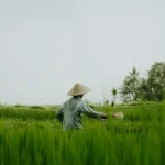 Beyond the Crowds: 15 Hidden Gems and Secret Spots in Bali