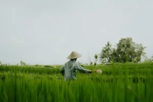 Beyond the Crowds: 15 Hidden Gems and Secret Spots in Bali