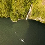 Navigating Tanjung Puting: Your Guide to a Klotok River Adventure