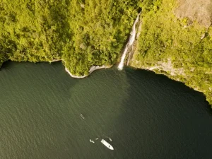 Navigating Tanjung Puting: Your Guide to a Klotok River Adventure