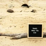 The Power of Politeness: Why ‘Permisi’ and ‘Tolong’ are Your Best Friends