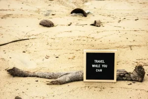 The Power of Politeness: Why ‘Permisi’ and ‘Tolong’ are Your Best Friends