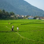 Uncovering Belitung’s Hidden Gems: Beaches, Culture &amp; Charm