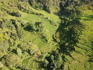 West Sumatra Adventures: Padang, Minangkabau Culture &amp; Beyond
