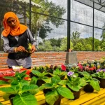 Where to Shop in Labuan Bajo: Markets, Boutiques &amp; Local Finds